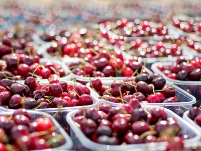 Mitigación de los efectos del estrés ambiental en los cultivos frutales