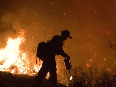 Por qué la corrupción del humo no es una broma para los productores de uva