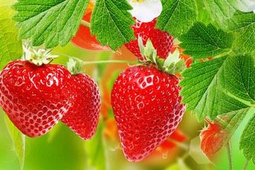 Strawberry