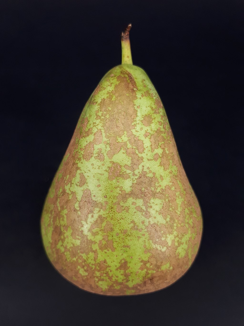 Pear russeting