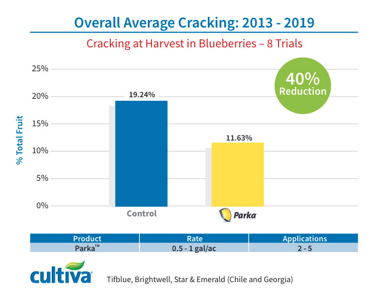 Blueberry Cracking