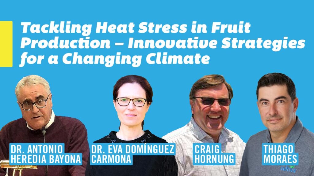 Tackling Heat Stress in Fruit Production – Innovative Strategies for a Changing Climate