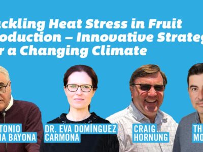 Abordar el estrés por calor en la producción de frutas: estrategias innovadoras para un clima cambiante